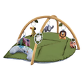 Leaf-Shaped Baby Activity Play Gym with Hanging Toys and Mirror