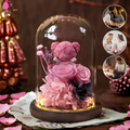 Rose Bear Glass Dome Preserved Rose Teddy Display Red Gift