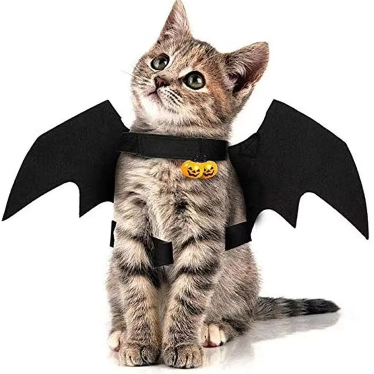 Black Felt Pet Bat Wings for Halloween Photos, 45 x 16 cm
