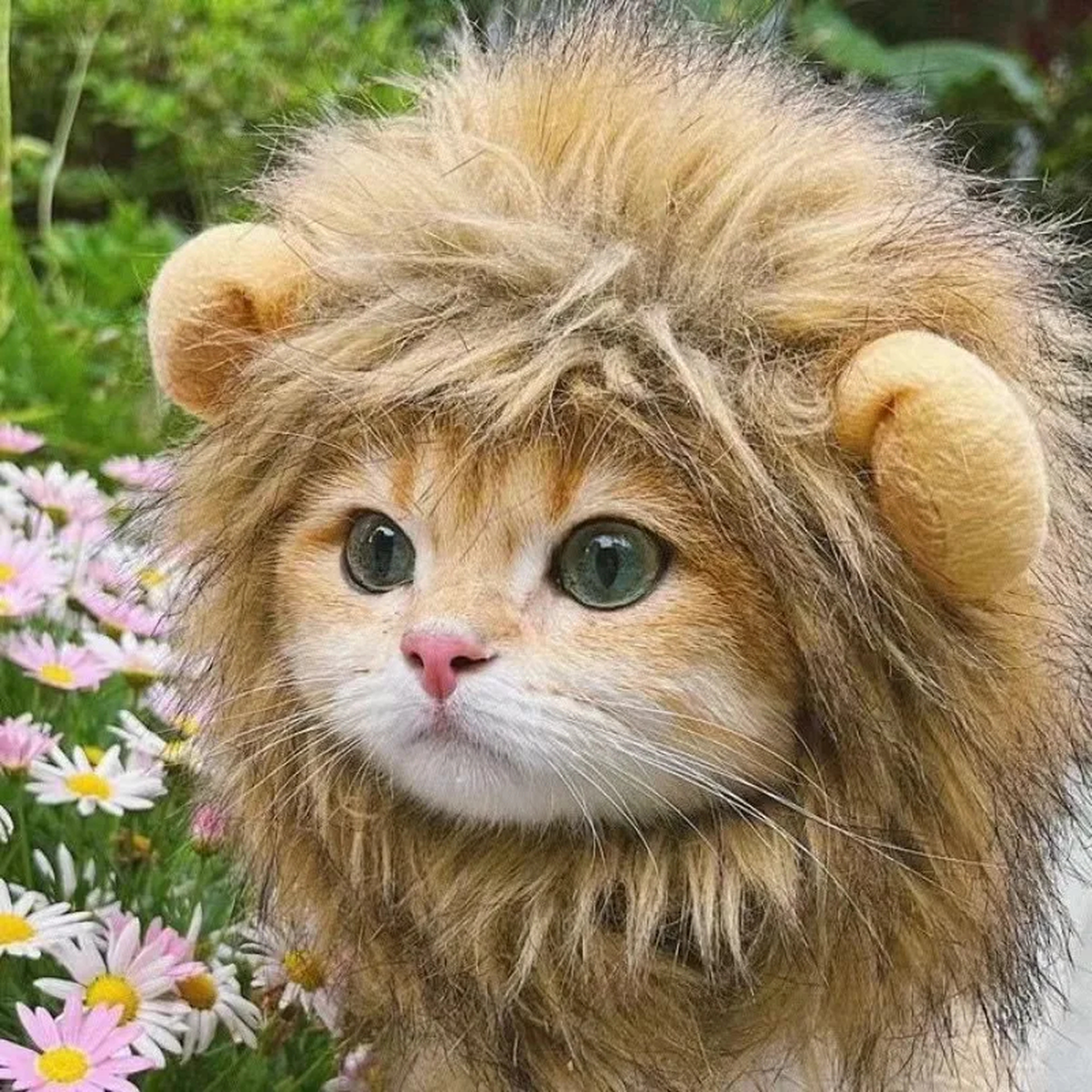 Lion Costume Hat for Pets, Plush Brown Mane, Adjustable Neck