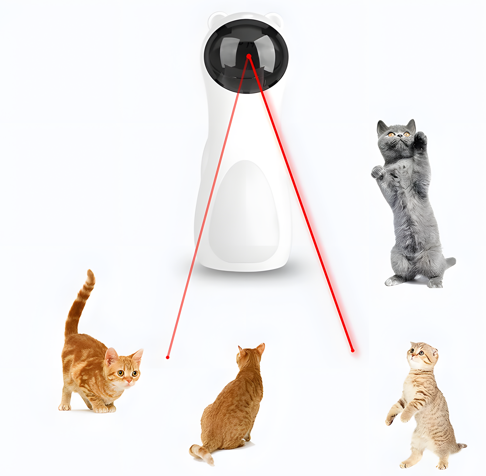 Automatic Laser Cat Toy Bear Shape with Timer Function