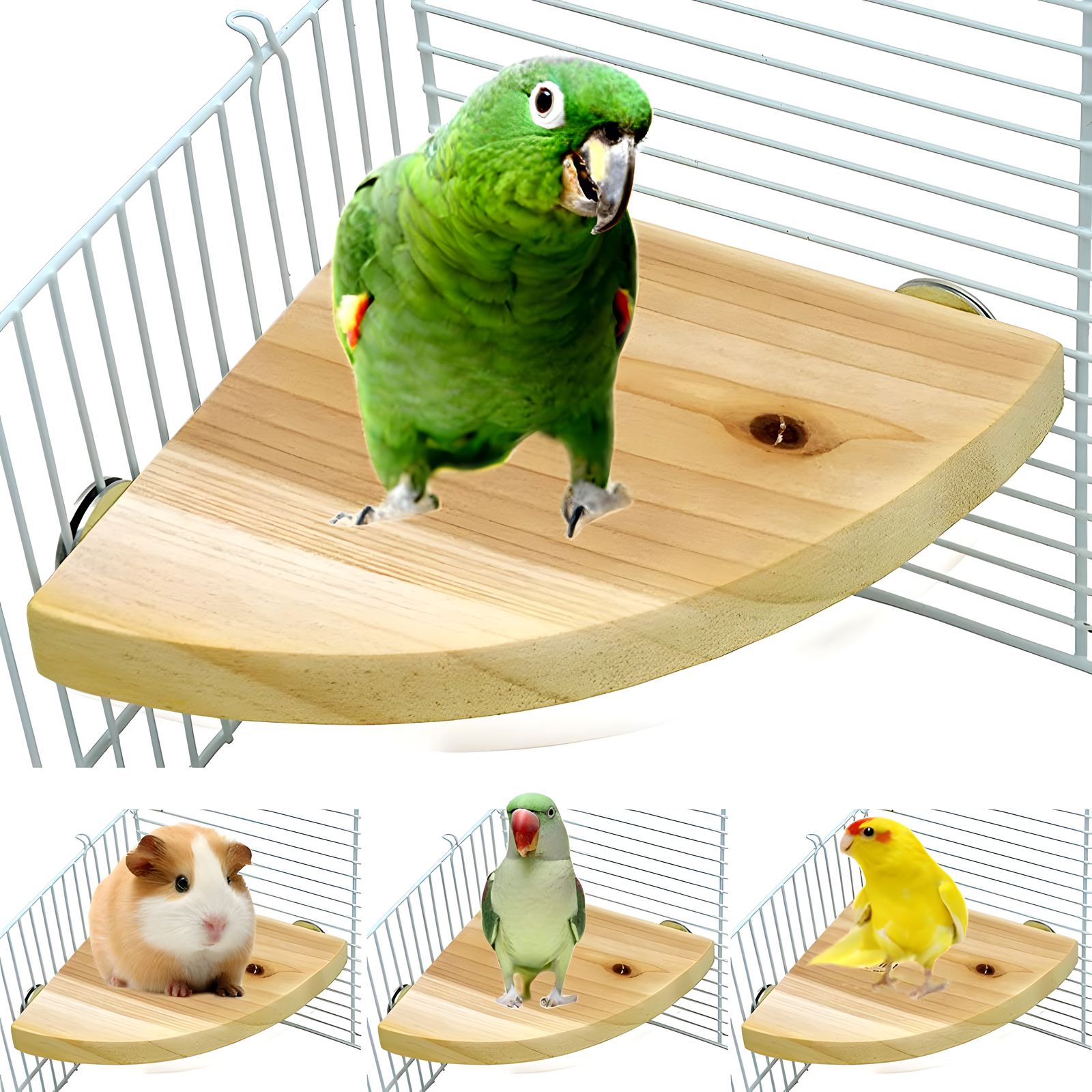 Bird Cage Perch Platform Stand – 3 Sizes for Parrots & Small Birds