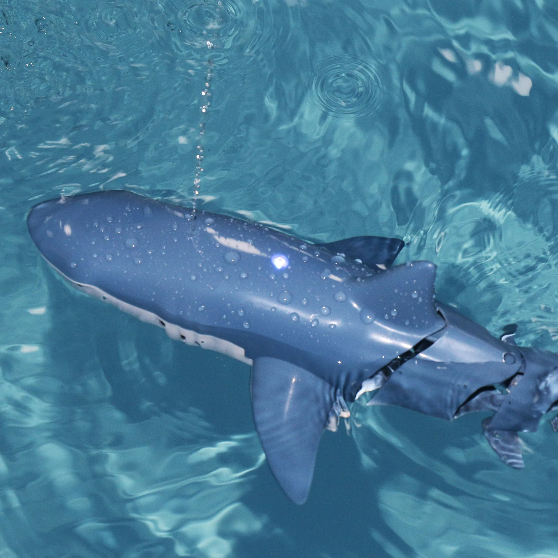 Rechargeable Remote Control Shark Boat for Pool Water Play