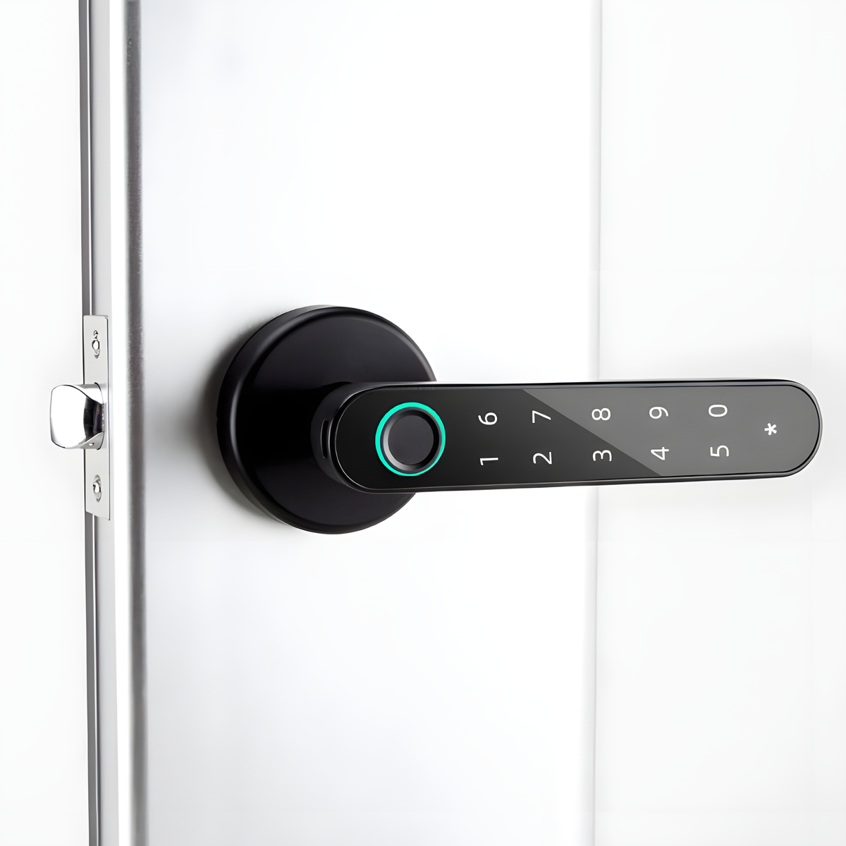 Fingerprint Lever Door Handle with Key Backup, Round or Square