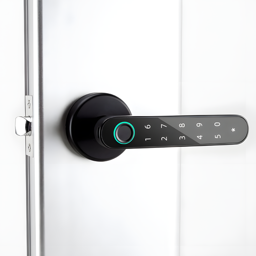 Fingerprint Lever Door Handle with Key Backup, Round or Square