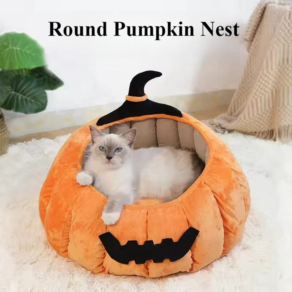 Pumpkin Cat Bed, Round 54 cm, Raised Rim, Removable Cushion