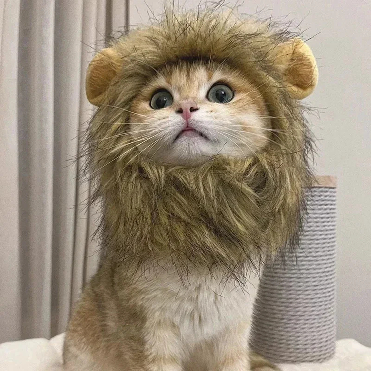 Lion Costume Hat for Pets, Plush Brown Mane, Adjustable Neck