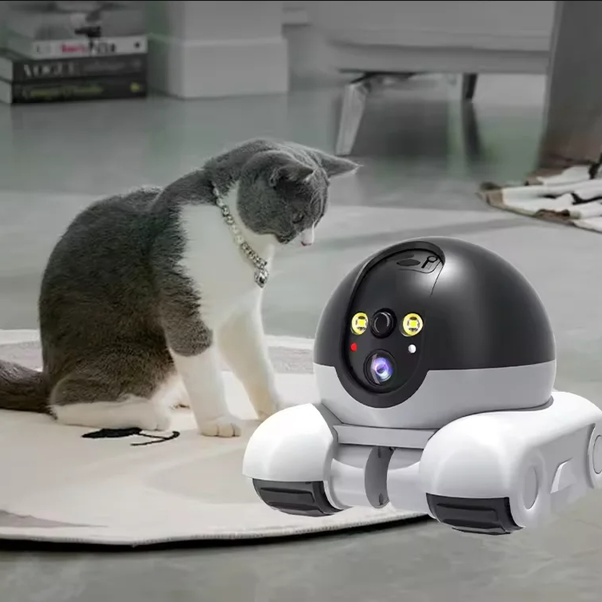 Mobile Pet Camera Rover for Indoor Check-Ins