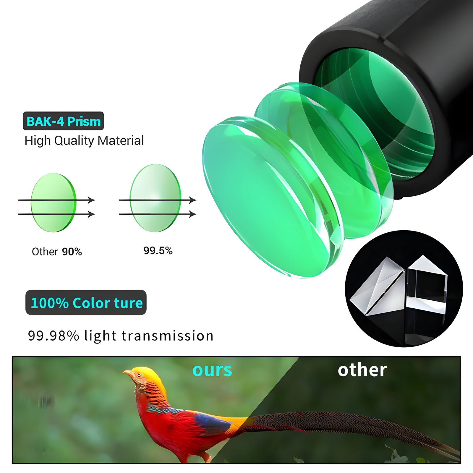 12x42 Binoculars for Wildlife, Scenery, and Outdoor Viewing