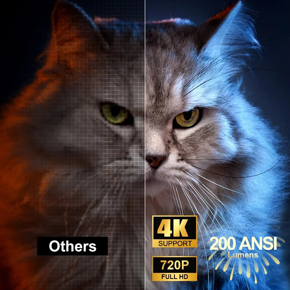 Comparison of a cat's face on two screens labeled 'Others' and '4K Support 200 ANSI', with technical specifications displayed.