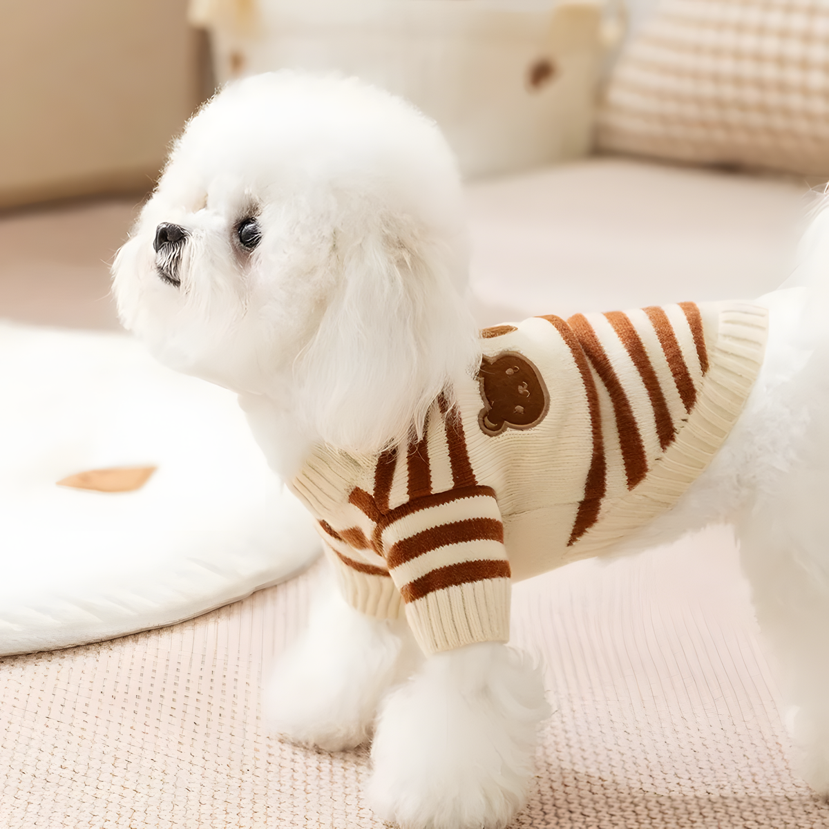 Knitted Pet Sweater with Ribbed Neck and Short Sleeves for Cool Days