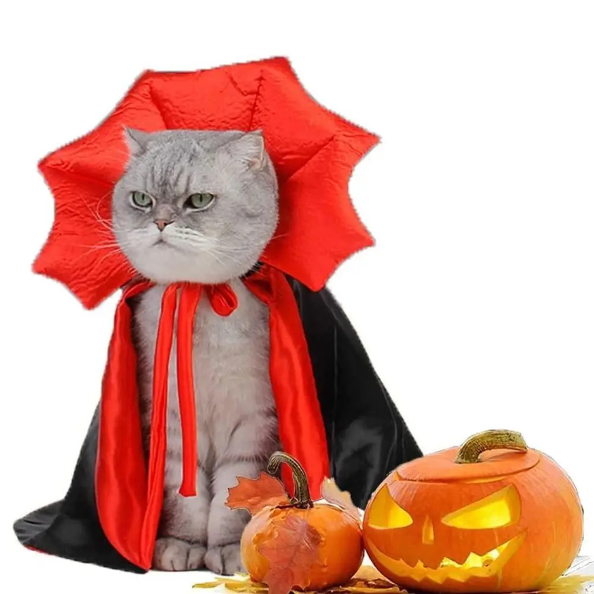 Red and Black Pet Vampire Cape with High Collar for Halloween