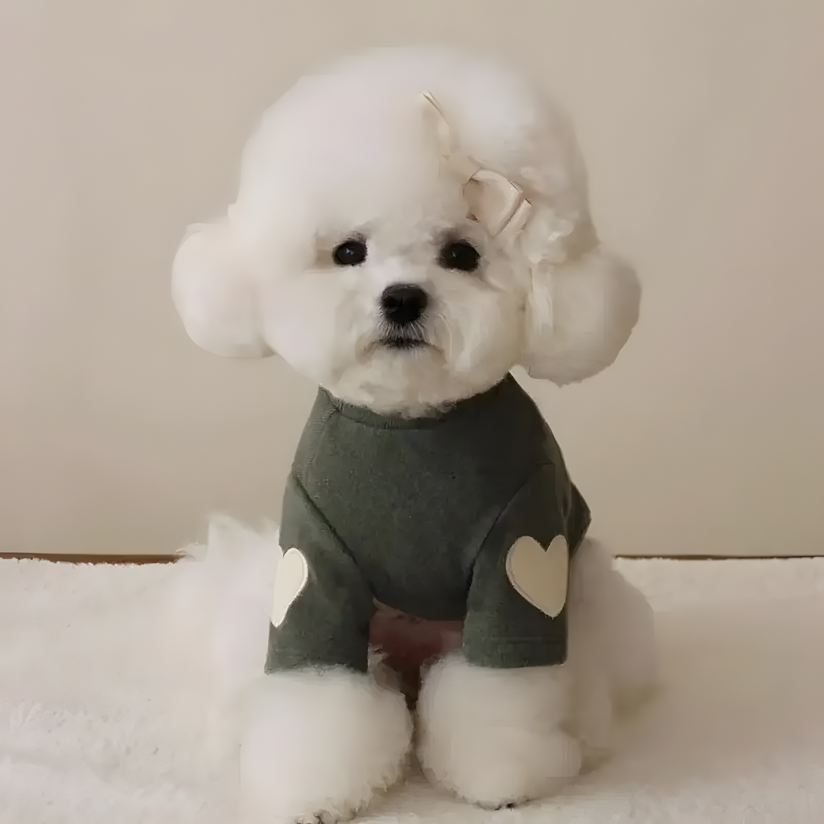 Heart Detail Dog Sweater with High Neck and Front Sleeves