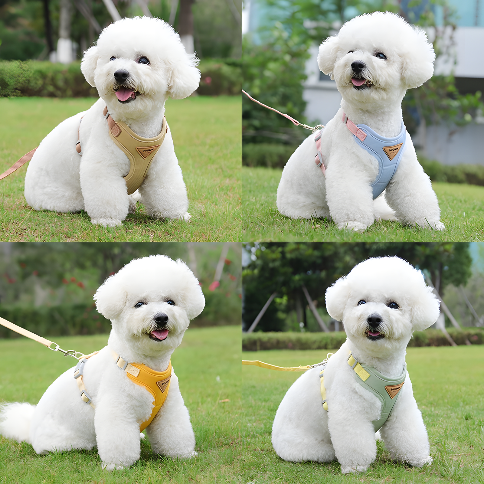 Adjustable Cat Vest Harness Escape-Proof XS to L 4 Colors