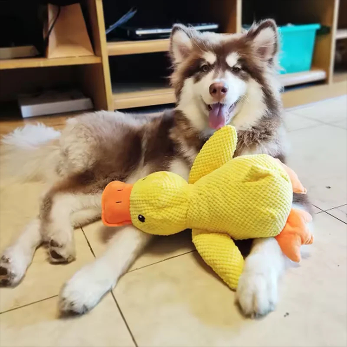 Squeaky Duck Plush Dog Toy, Textured Fabric, Approx. 45cm