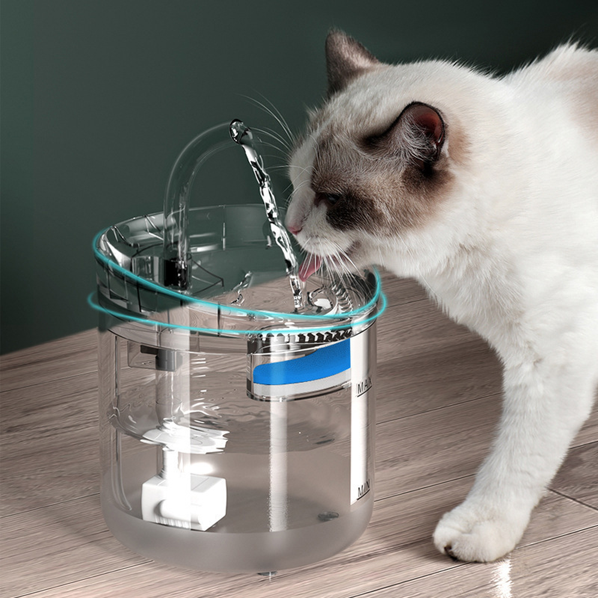 Transparent Pet Water Fountain with Filter and Quiet Pump