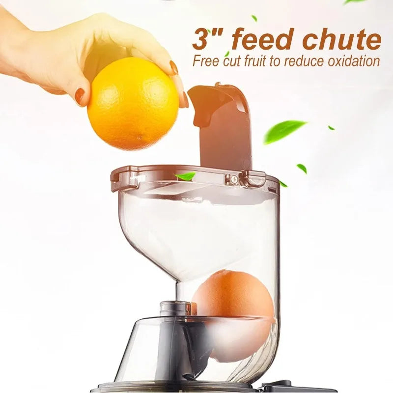 Cold Press Masticating Slow Juicer - High Nutrient Extraction