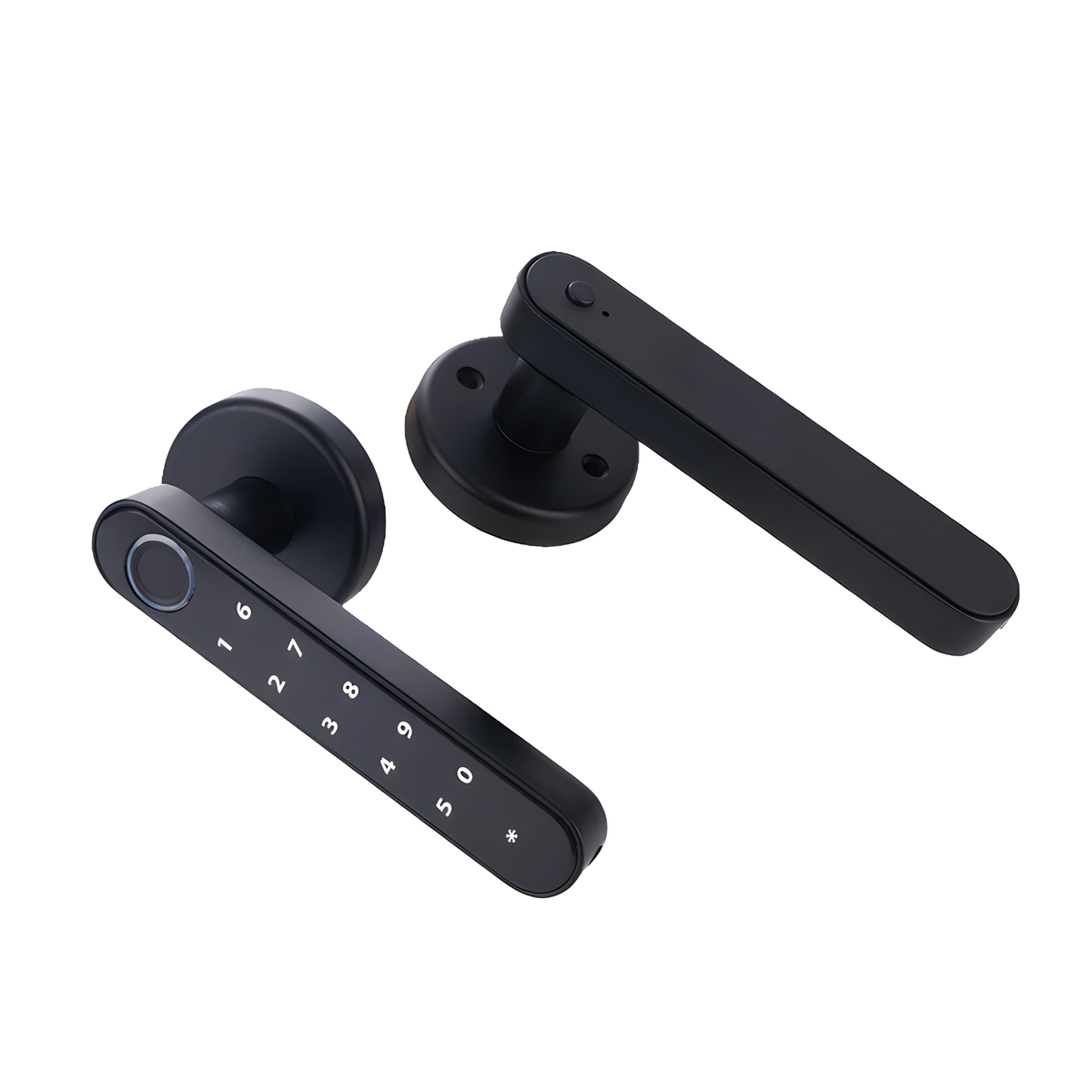 Fingerprint Lever Door Handle with Key Backup, Round or Square
