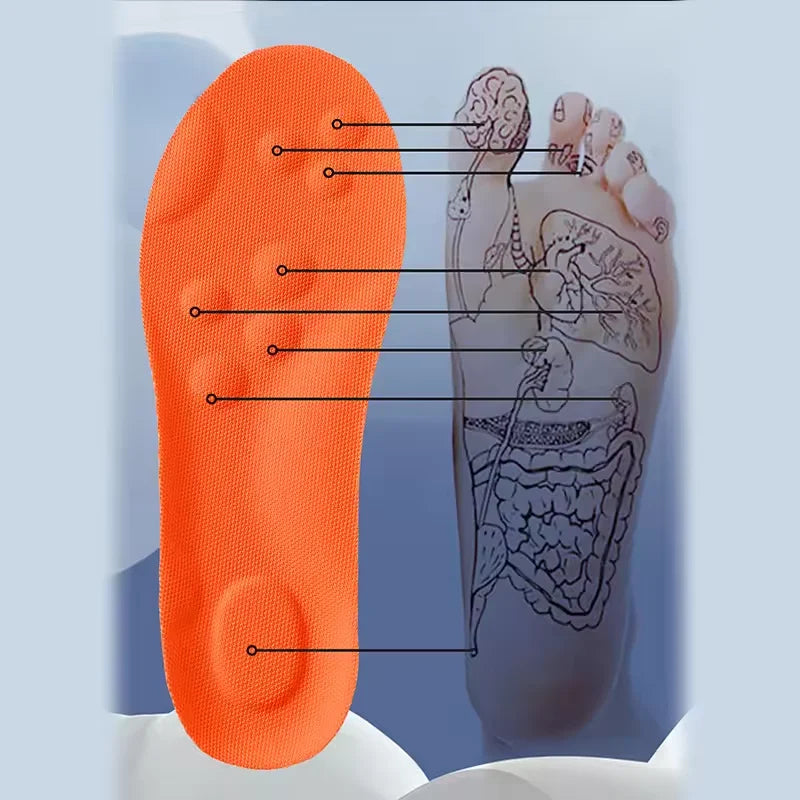 Shock Absorbing Shoe Insoles with 4D Arch Support for Daily Use