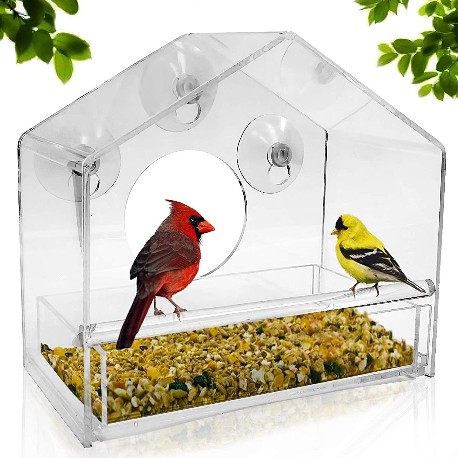 Window Acrylic Bird Feeder with Suction Cups – Clear View Design