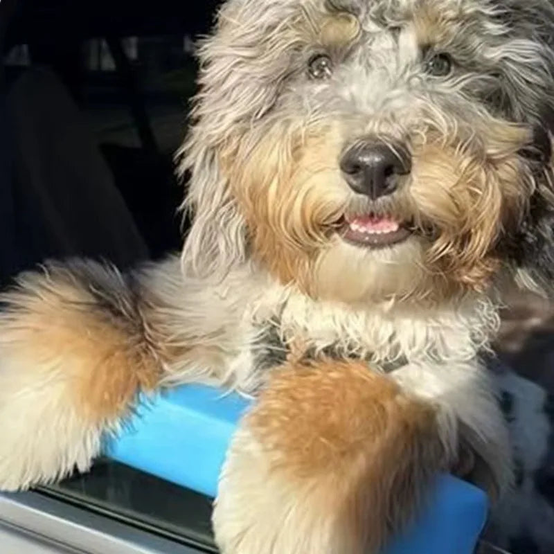 Car Window Dog Chin Rest Pad Shock-Absorbing 2 Colors