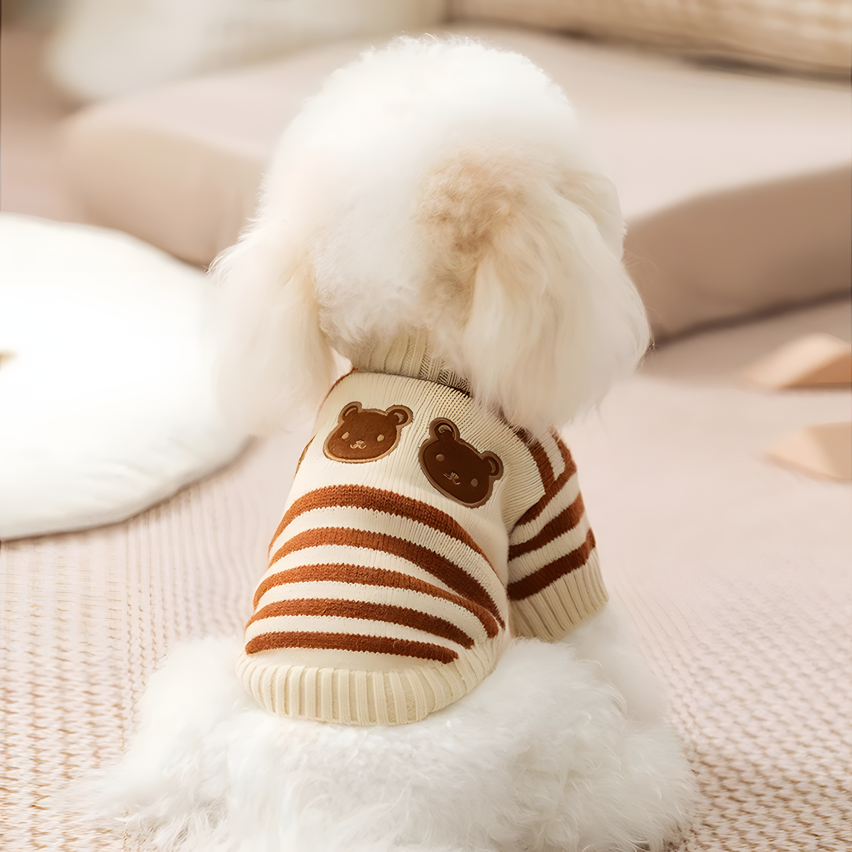 Knitted Pet Sweater with Ribbed Neck and Short Sleeves for Cool Days