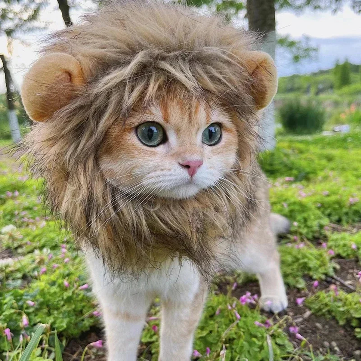 Lion Costume Hat for Pets, Plush Brown Mane, Adjustable Neck
