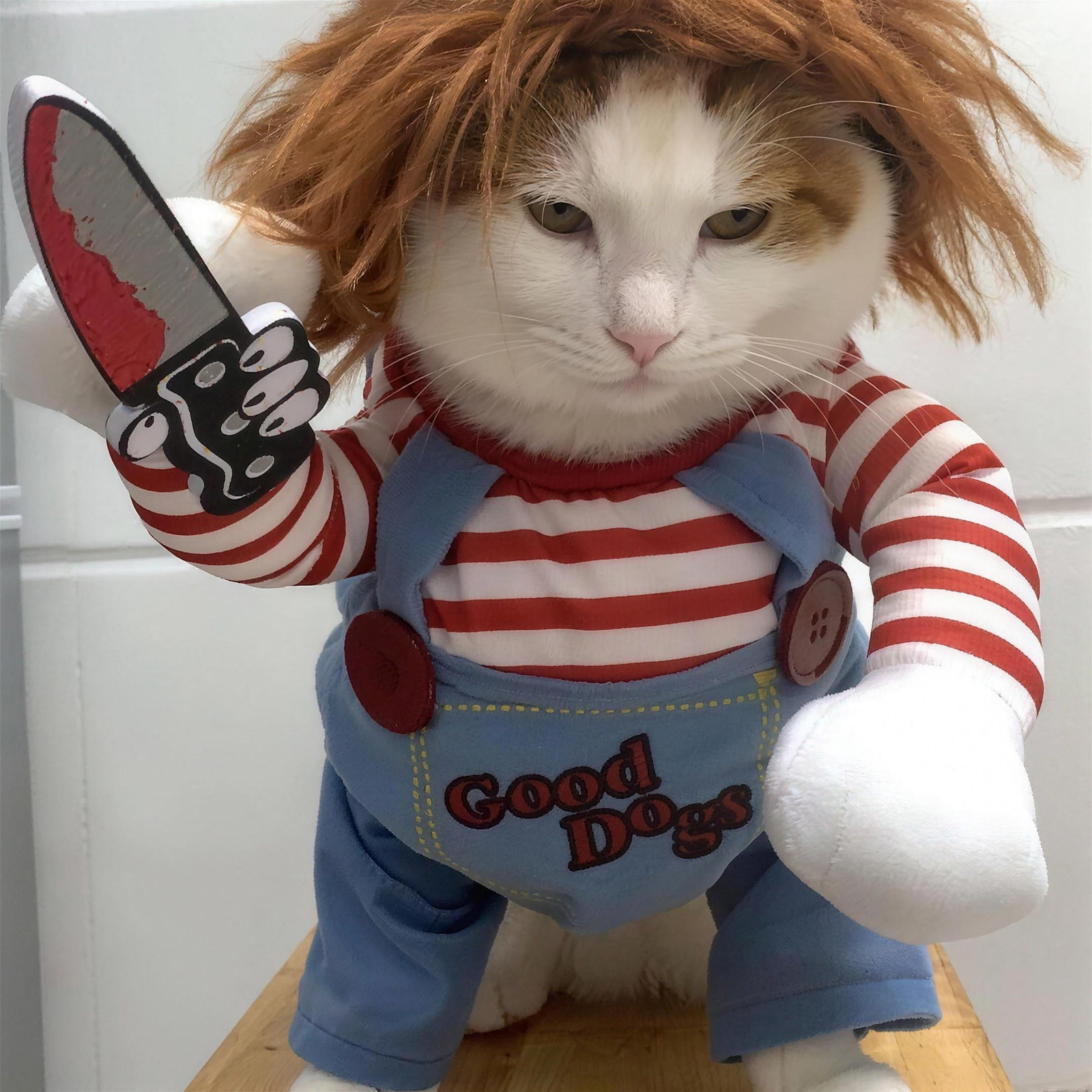 Spooky Doll Pet Costume for Dogs & Cats S-XL Halloween