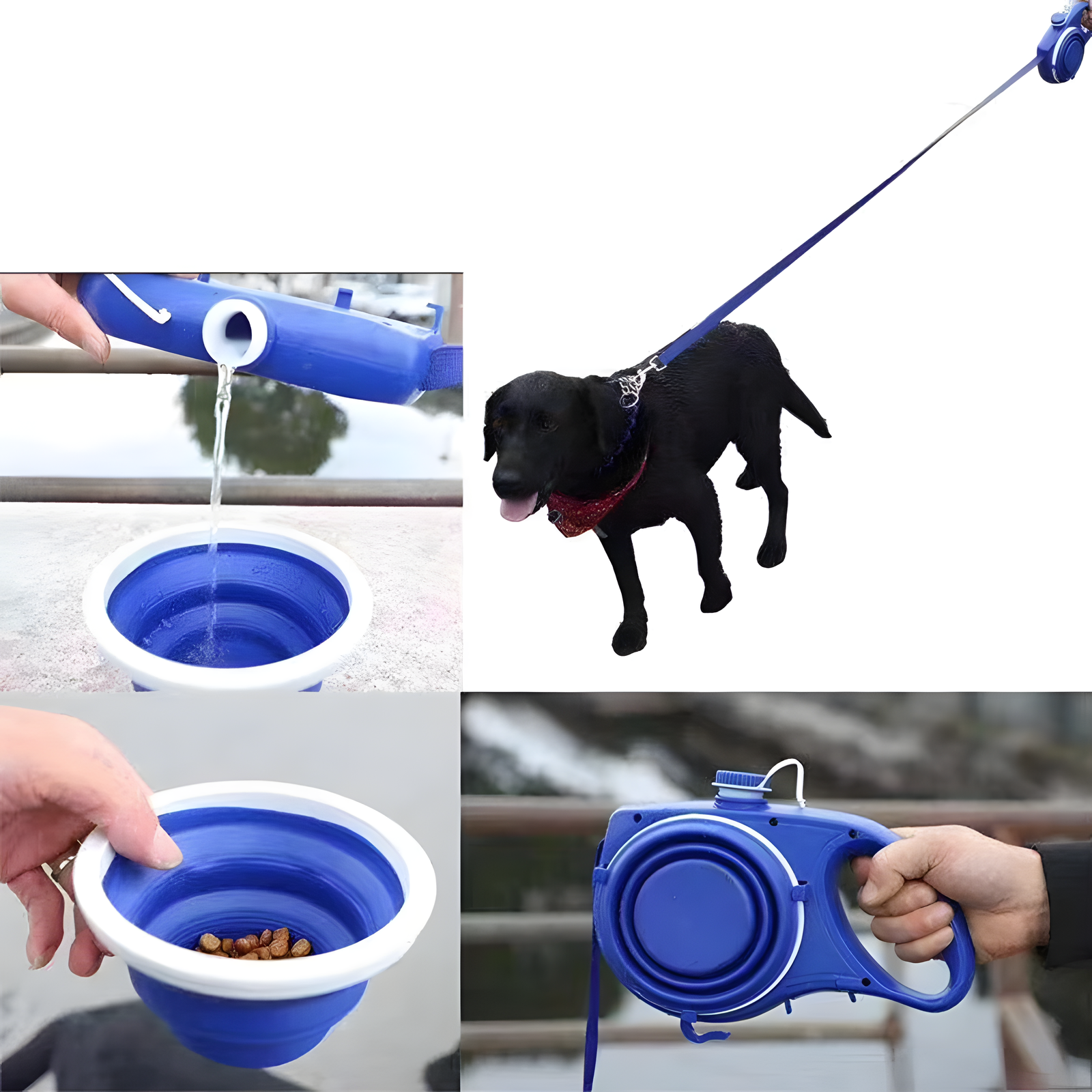 Dog Leash with Built-In Water Bottle Dispenser Red Blue Black