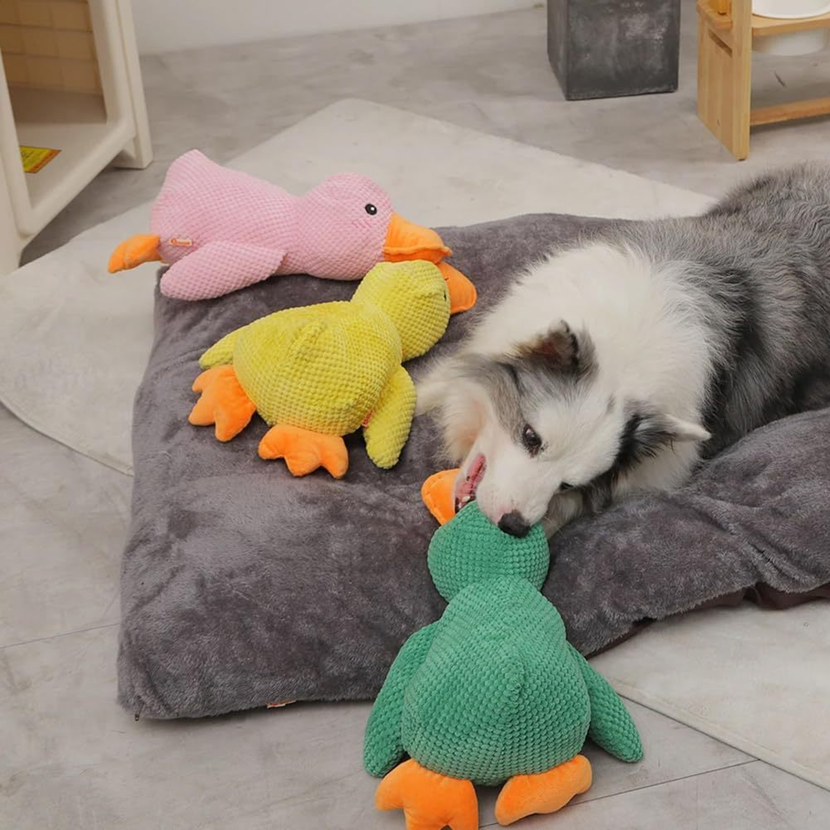 Squeaky Duck Plush Dog Toy, Textured Fabric, Approx. 45cm