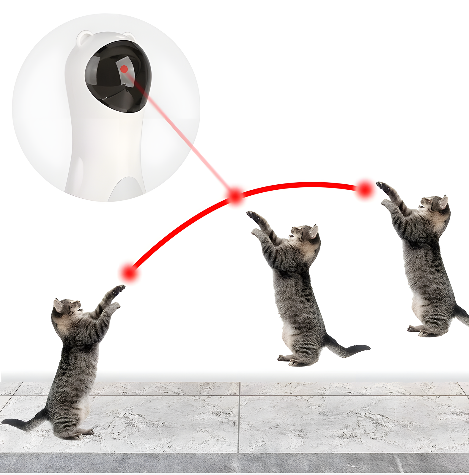 Automatic Laser Cat Toy Bear Shape with Timer Function