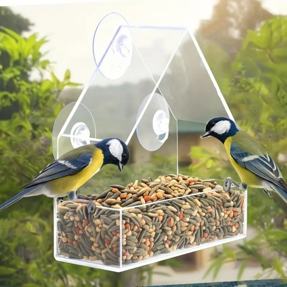 Window Acrylic Bird Feeder with Suction Cups – Clear View Design