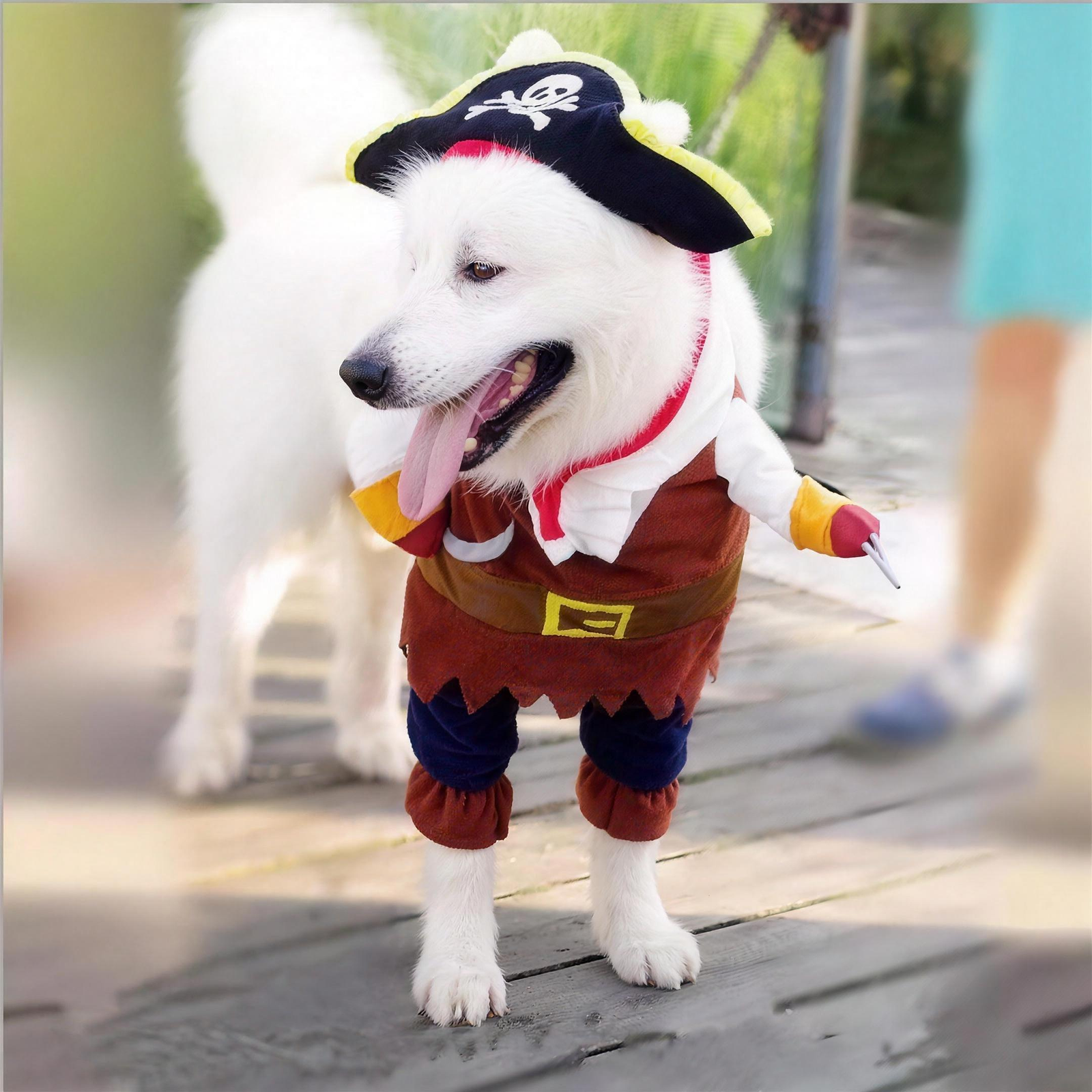 Pirate Pet Costume for Dogs & Cats S-XL Halloween