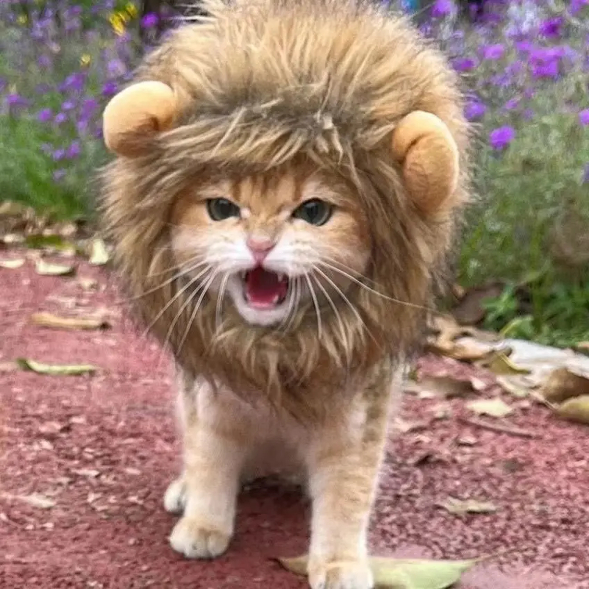 Lion Costume Hat for Pets, Plush Brown Mane, Adjustable Neck