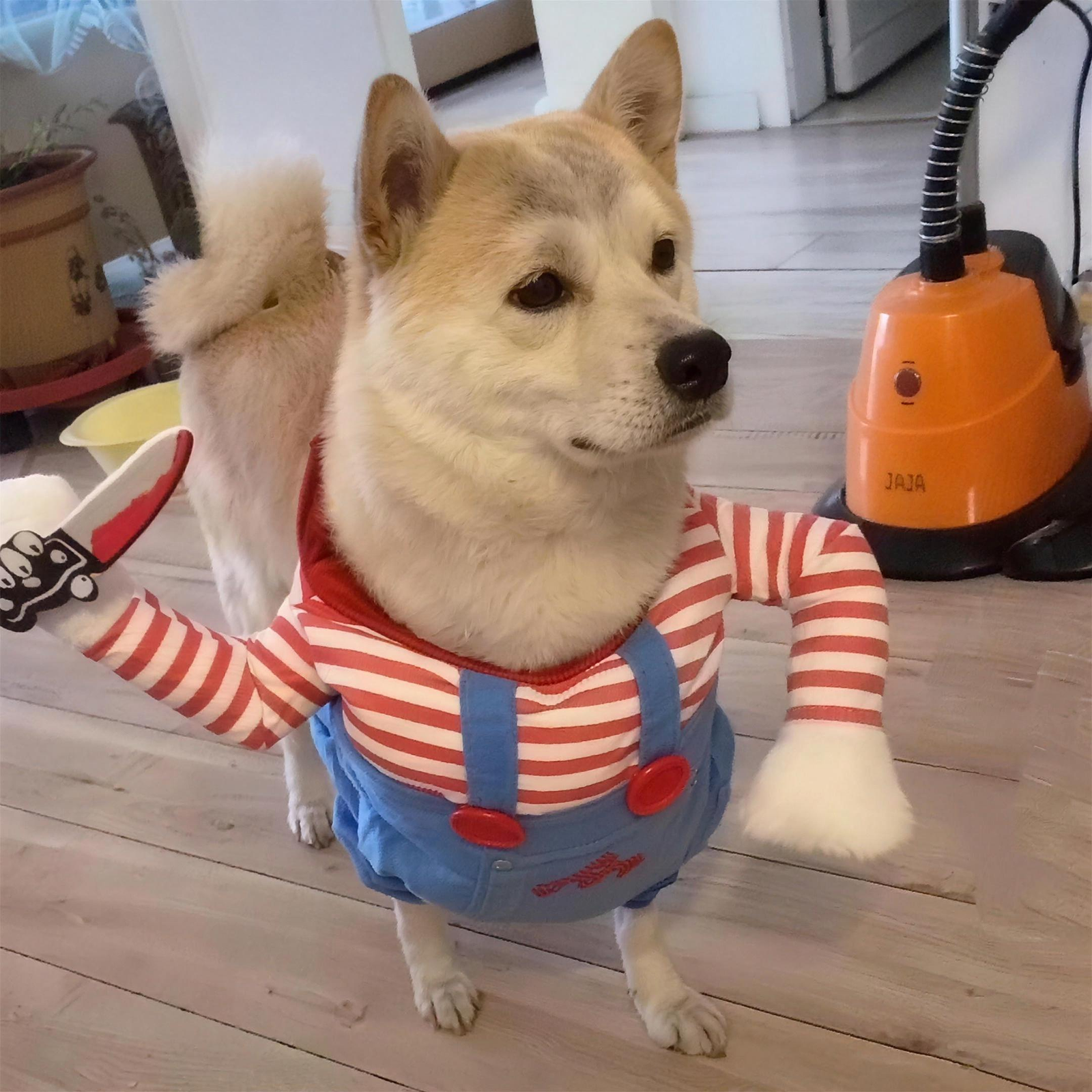 Spooky Doll Pet Costume for Dogs & Cats S-XL Halloween