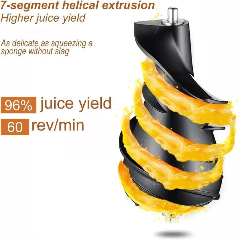 Cold Press Masticating Slow Juicer - High Nutrient Extraction