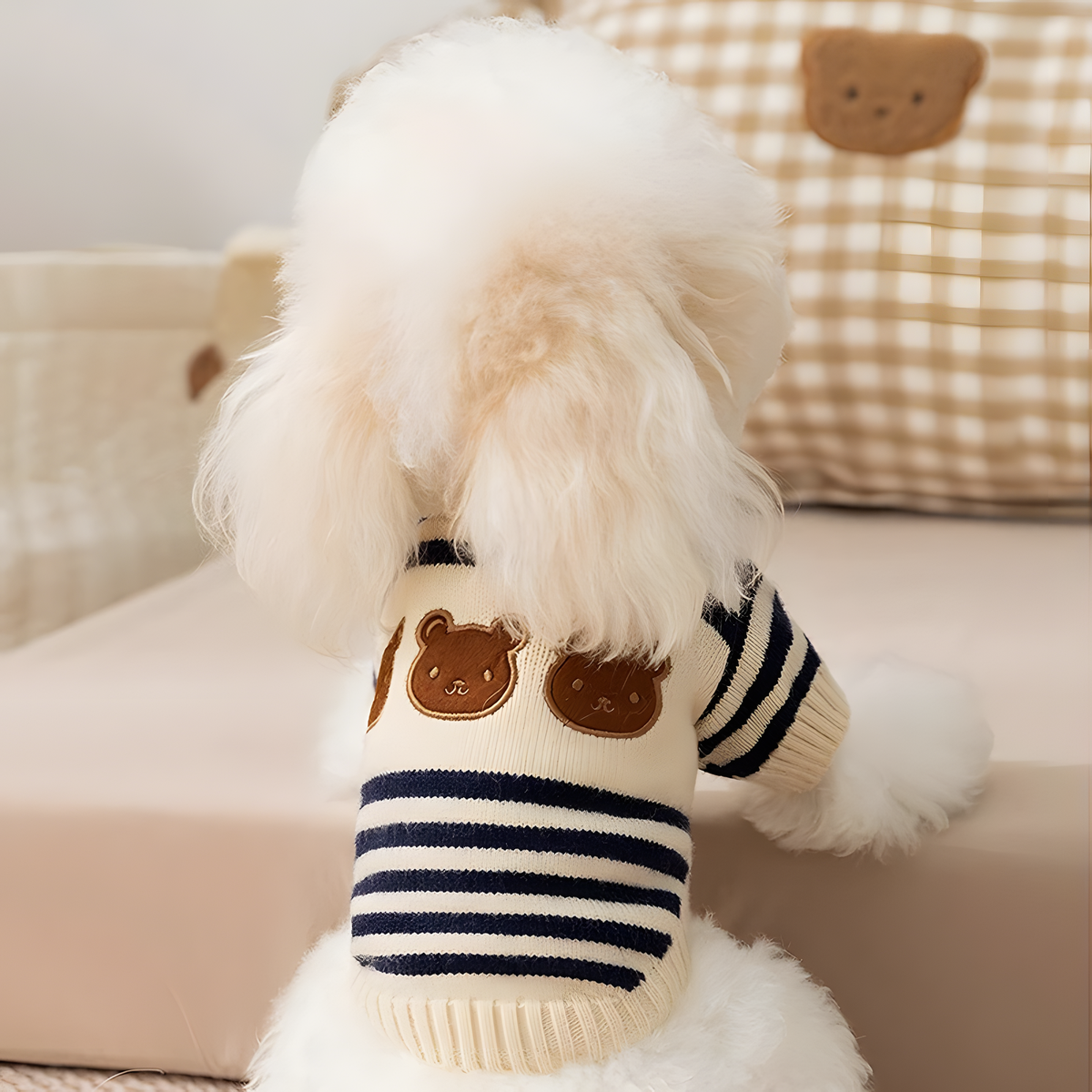 Knitted Pet Sweater with Ribbed Neck and Short Sleeves for Cool Days