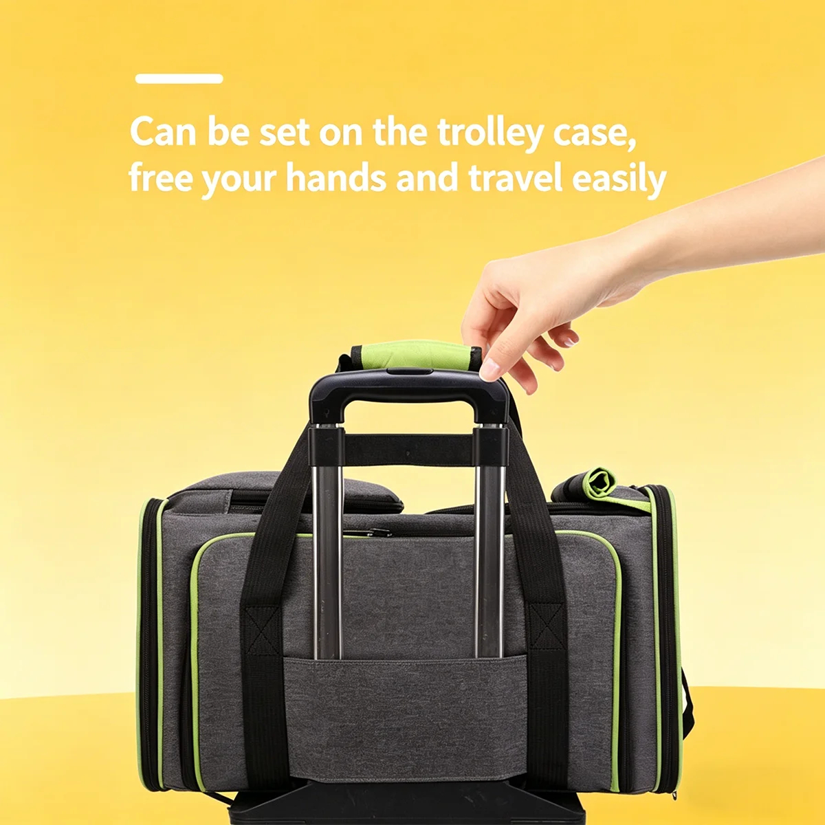Expandable Mesh Pet Travel Carrier for Cats and Small Dogs