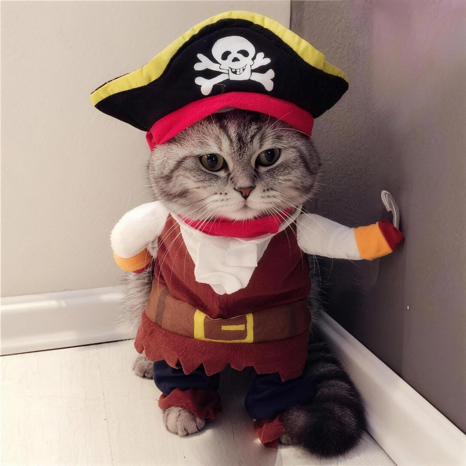 Pirate Pet Costume for Dogs & Cats S-XL Halloween