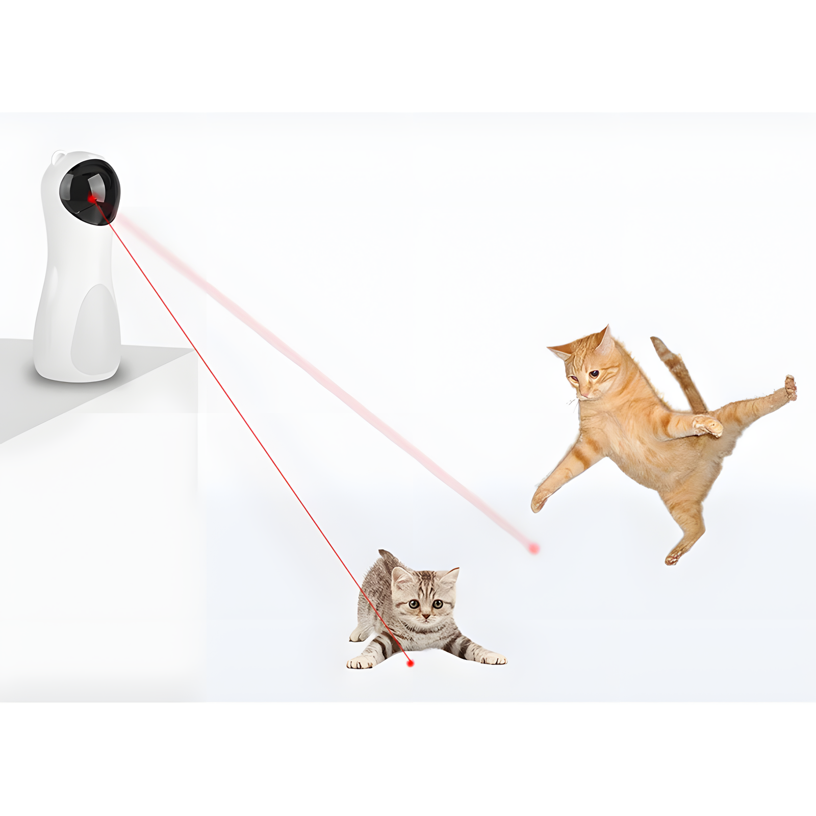 Automatic Laser Cat Toy Bear Shape with Timer Function