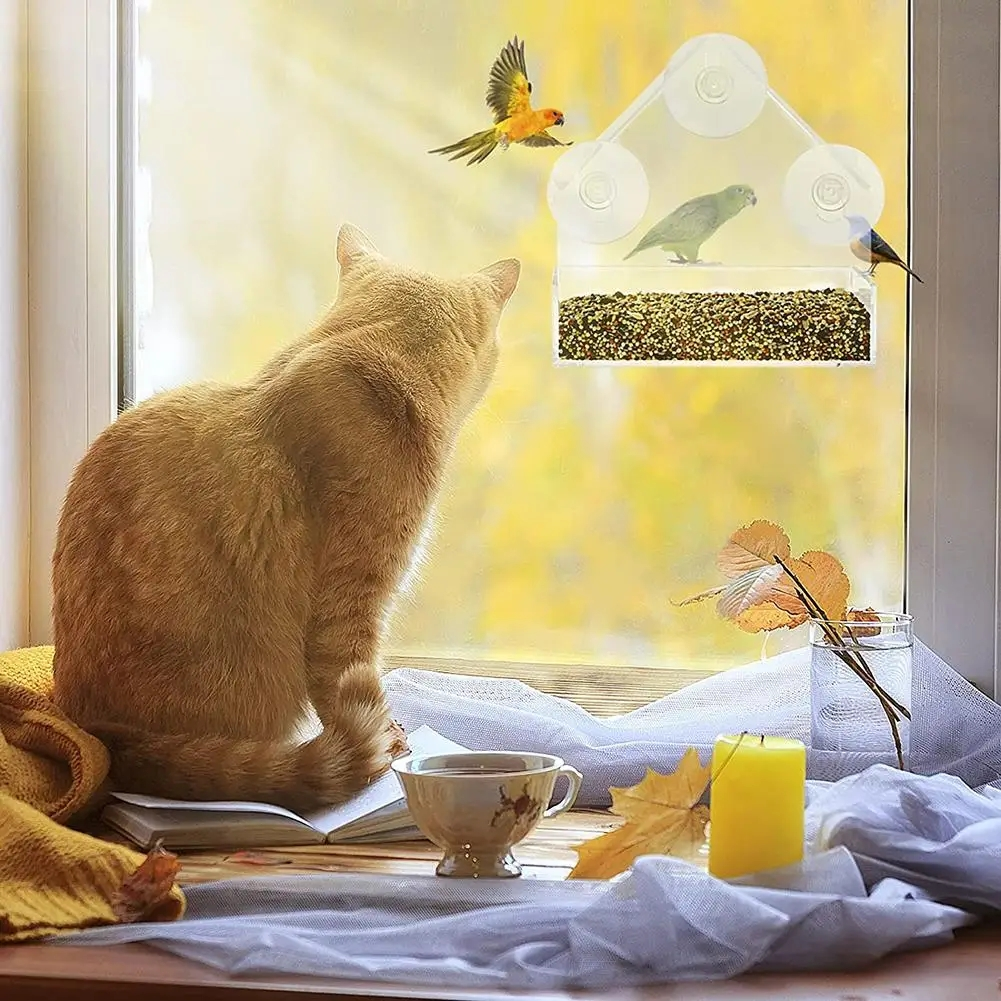 Window Acrylic Bird Feeder with Suction Cups – Clear View Design