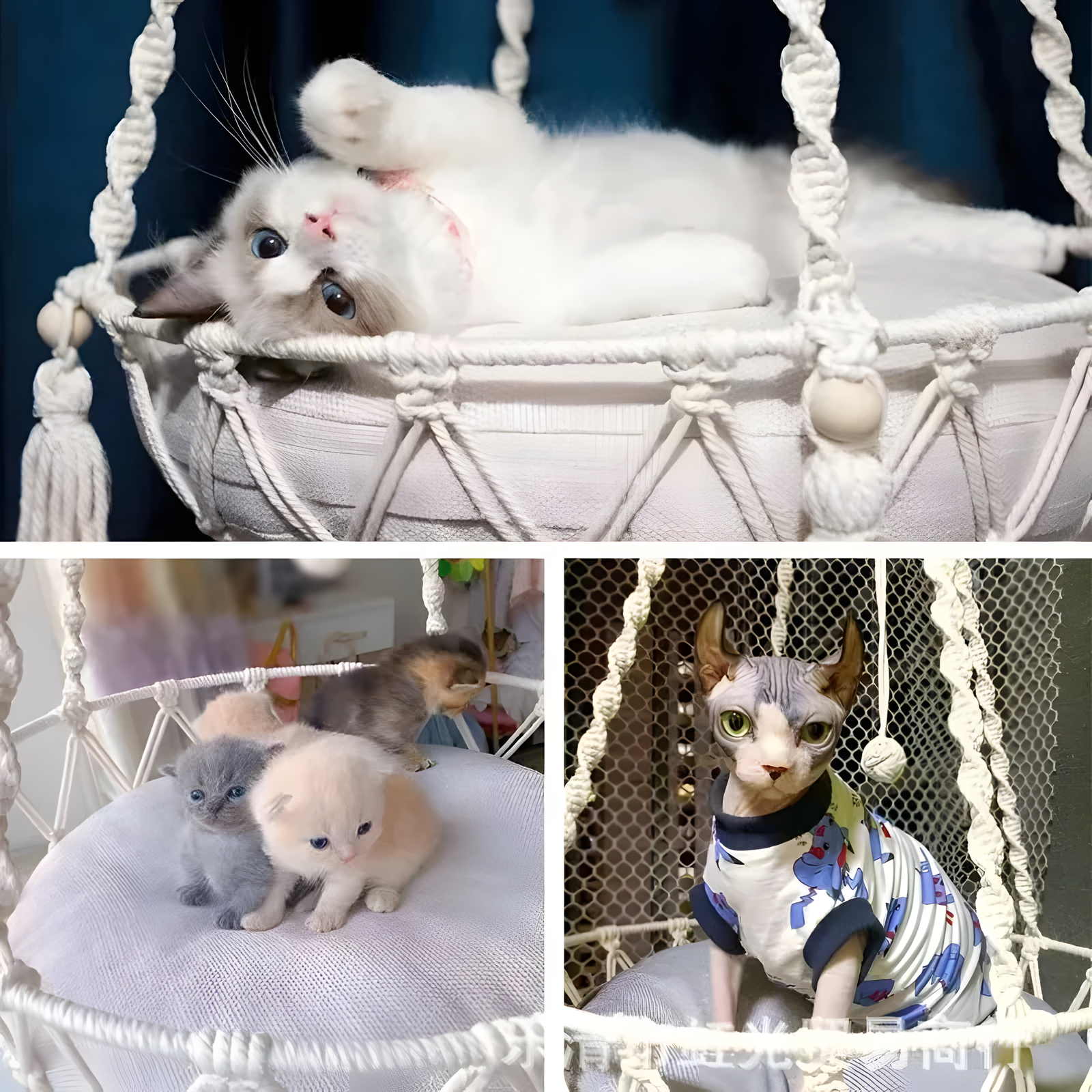 Hanging Cat Hammock – Window Suction Cup Perch 40cm