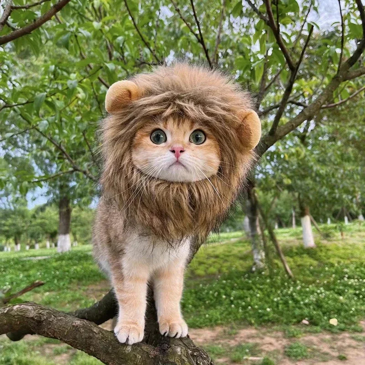 Lion Costume Hat for Pets, Plush Brown Mane, Adjustable Neck