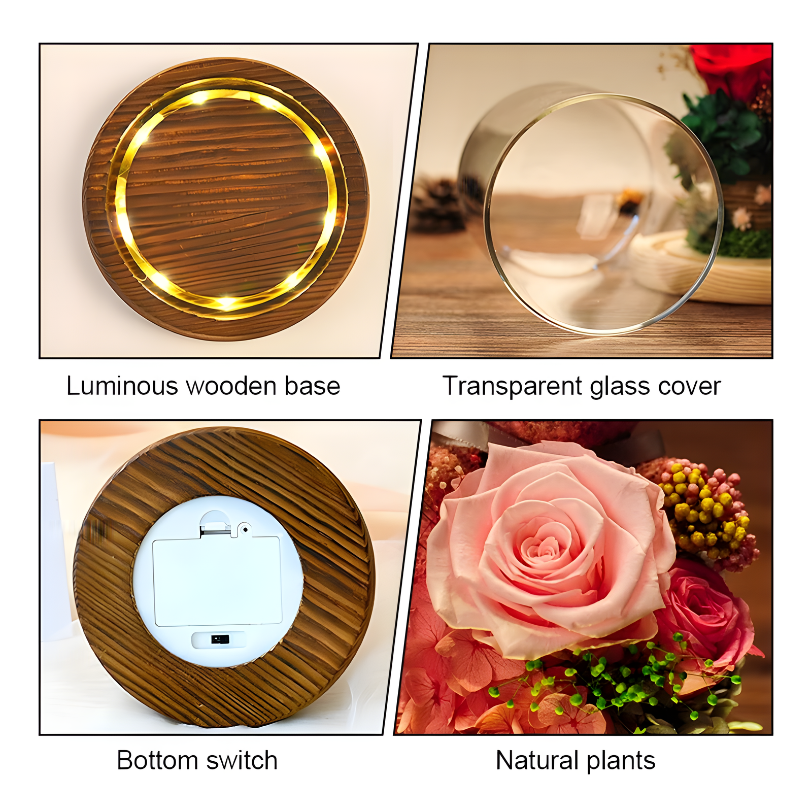 Rose Bear Glass Dome Preserved Rose Teddy Display Red Gift