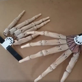 Articulated Skeleton Claw Hands for Halloween Costumes, Pair
