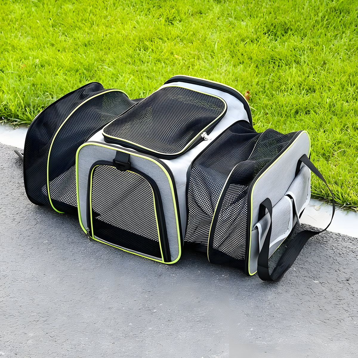 Expandable Mesh Pet Travel Carrier for Cats and Small Dogs