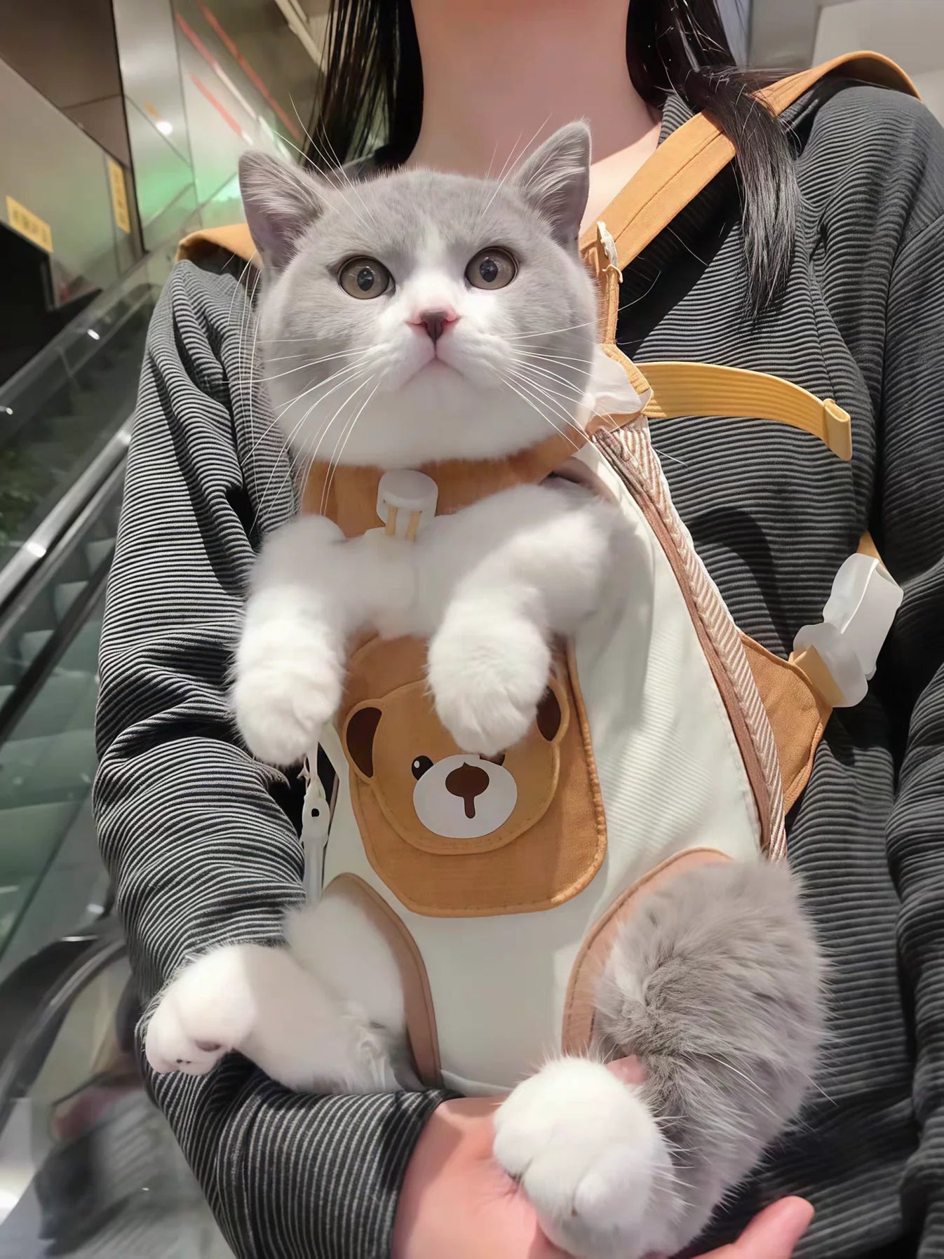 Pet Carrier Backpack Bear Design Front & Back Wear