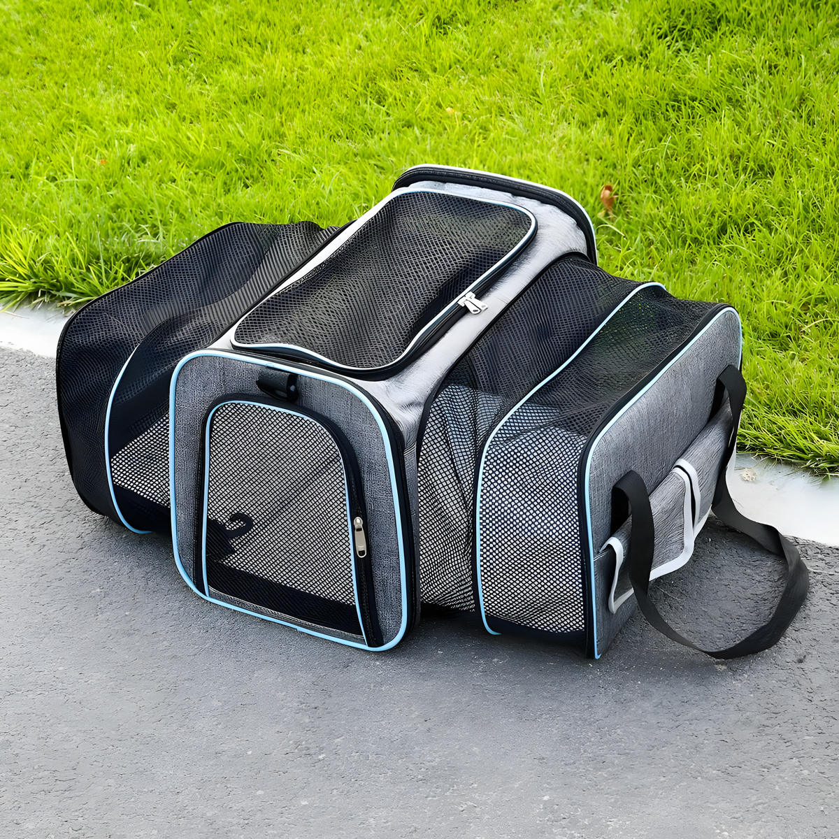 Expandable Mesh Pet Travel Carrier for Cats and Small Dogs