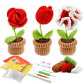 Beginner Crochet Flower Craft Kit with Materials and Guide