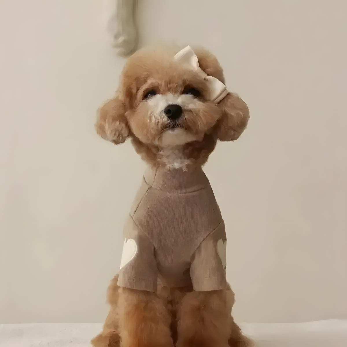 Heart Detail Dog Sweater with High Neck and Front Sleeves
